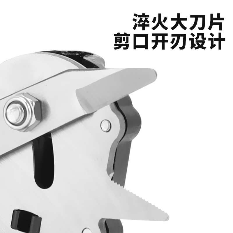 New Listing Bud Branch Graftin - Office Furniture List 评论和价格